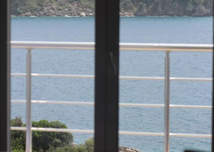 Hibiscus And Breakfast ,